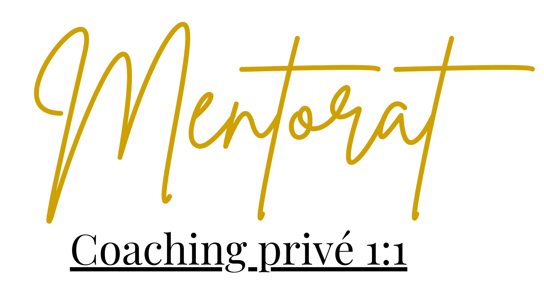 Mentorat coaching privé 1:1